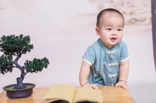 安宁可爱的企鹅宝宝